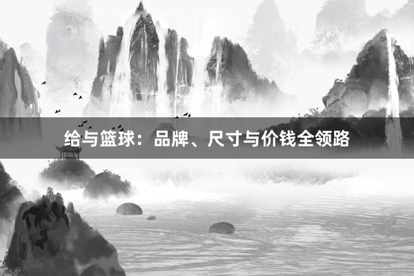 给与篮球：品牌、尺寸与价钱全领路