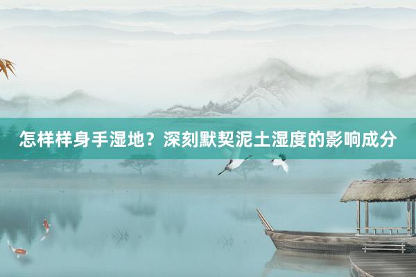 怎样样身手湿地？深刻默契泥土湿度的影响成分